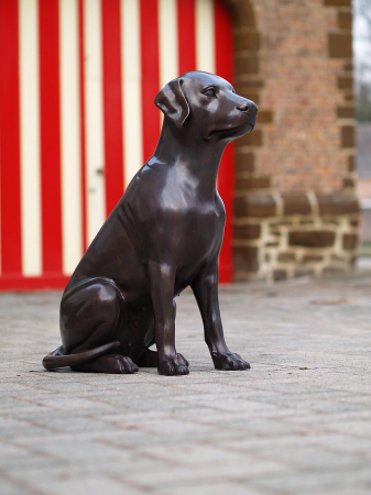 Statui - Statuie labrador care sta jos, Bronz, 71 X 33 X 45 cm