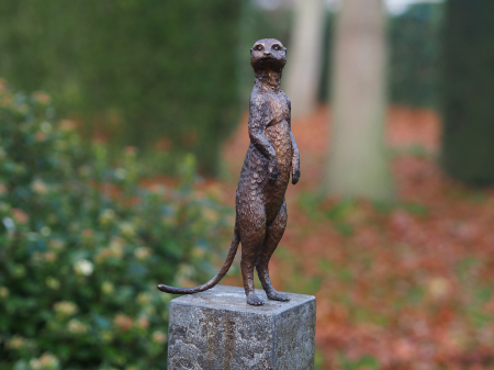 Figurine bronz - Statuie meerkat, Bronz, 28 x 9 x 14 cm