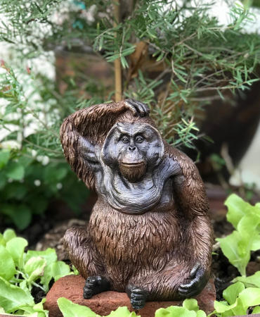 Figurine bronz - Statuie urangutan, Bronz, 16 x 10 x 14 cm