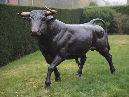 Statui - Statuie taur, Bronz, 170 X 75 X 285 cm