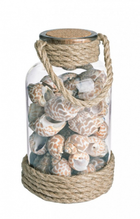 Accesorii - STICLA W-SHELLS FUNIE505G