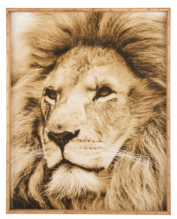 Tablouri - Tablou inramat Lion, Lemn, Maro, 81x4.5x100 cm