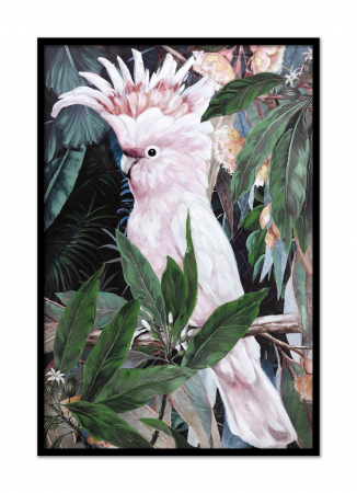 Tablouri - Tablou Toucan with frame pictat manual