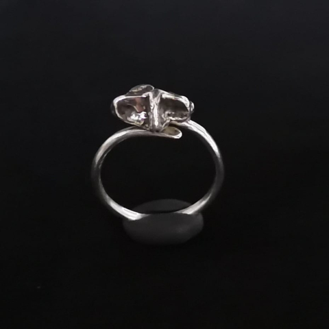 inel stilizat din argint 2 [1]