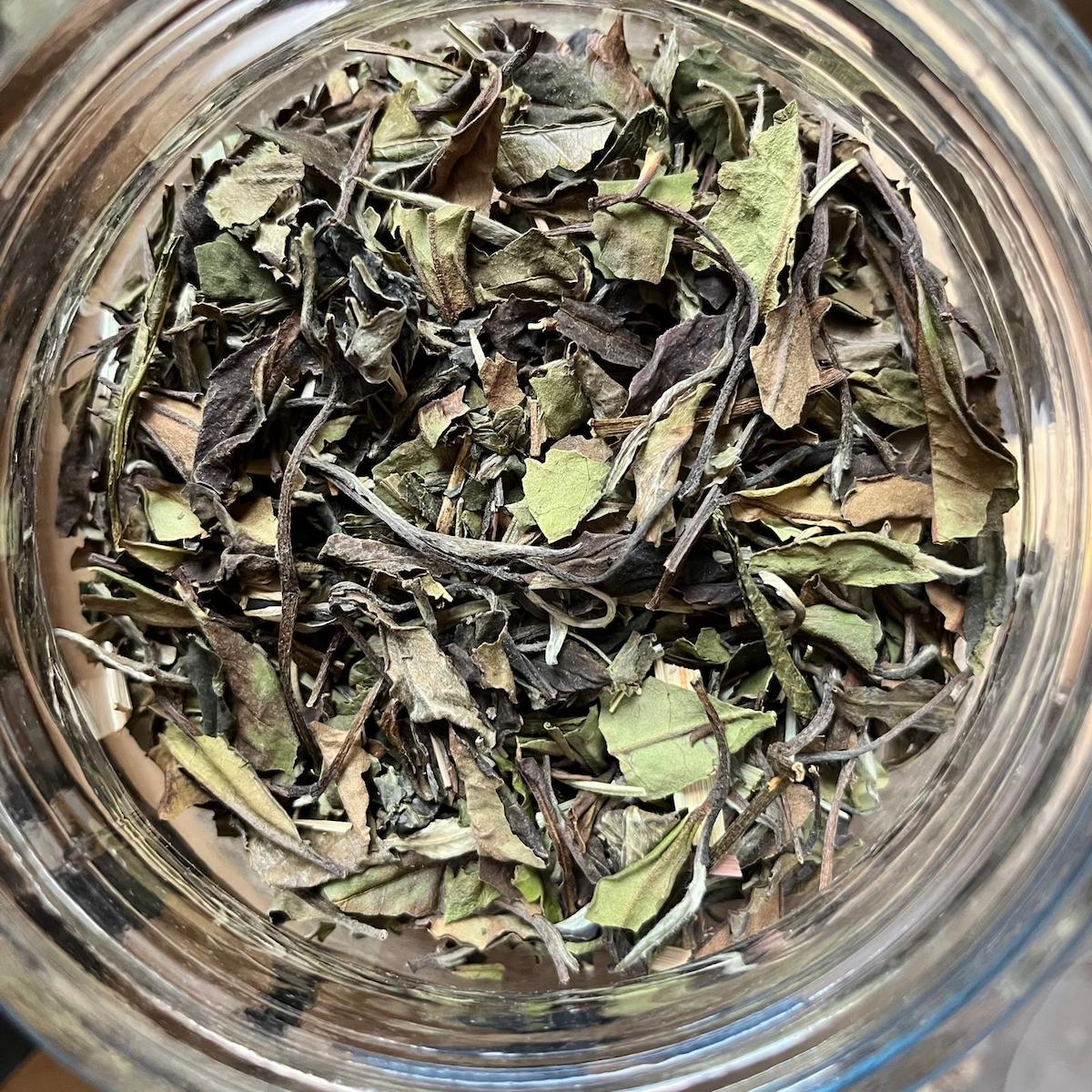 Lemon Rosemary [2]