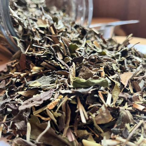 verde & oolong - Lemon Rosemary