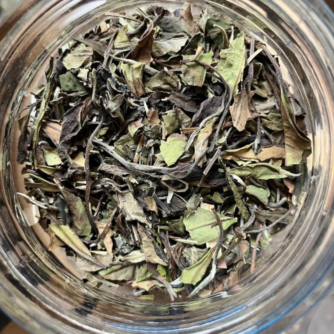 Lemon Rosemary [1]
