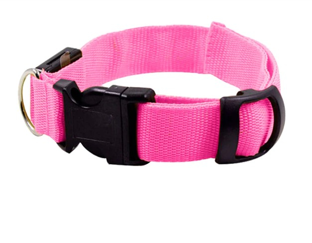 Zgarda luminoasa [5]