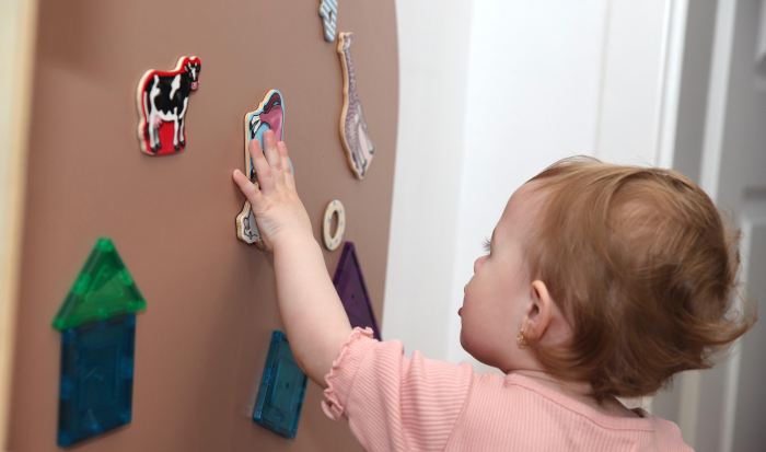 Tabla Magnetica Adeziva - Teddy [3]