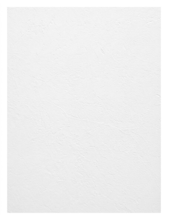 Plăci PVC / SPC Aspect Marmură 2,80m - Placă PVC / SPC Alb Mat Texturat XL