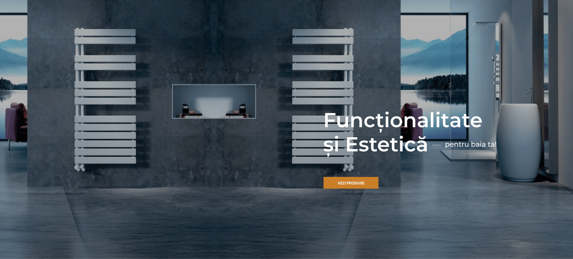 Functionalitate si Estetica