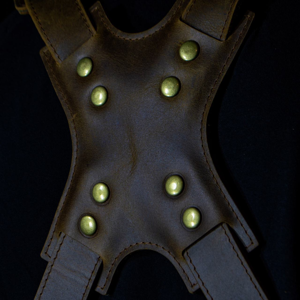 Ham dublu pentru fotografi piele Crazy Horse [3]