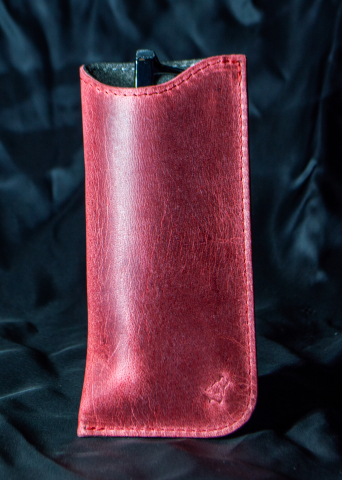 Etui pentru ochelari [4]