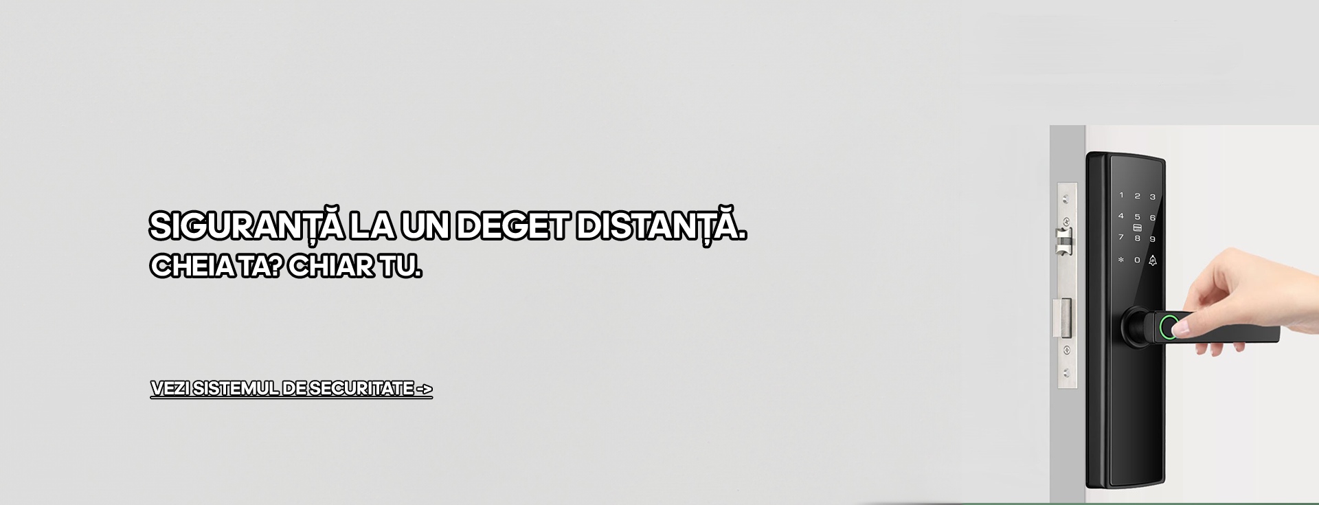 Sisteme Smartlock desktop