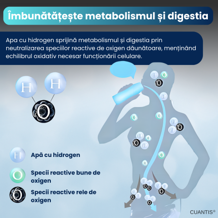 Generator de apa hidrogenata [2]