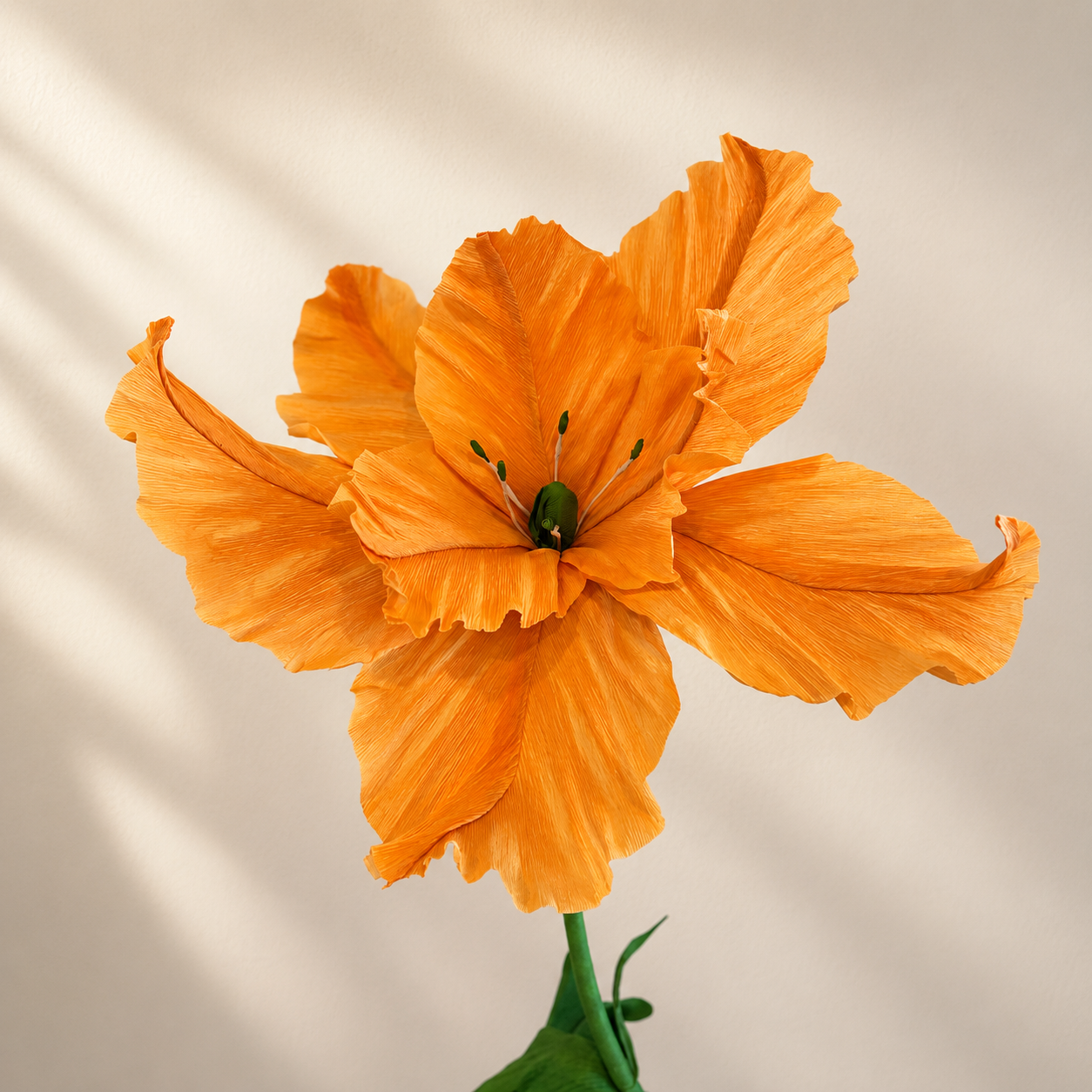 Hibiscus Uriaș  „Tropical Majesty” [3]