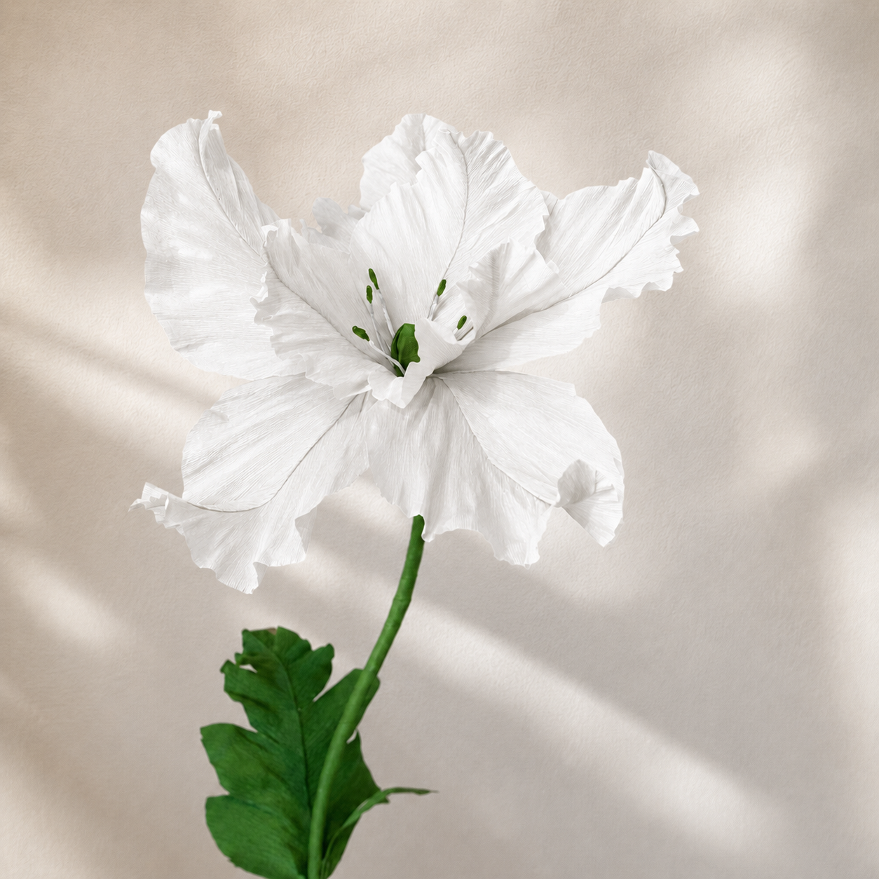 Hibiscus Uriaș  „Tropical Majesty” [6]