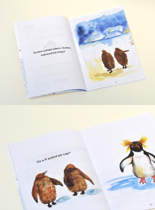 Set cărți pentru clasa I [3]