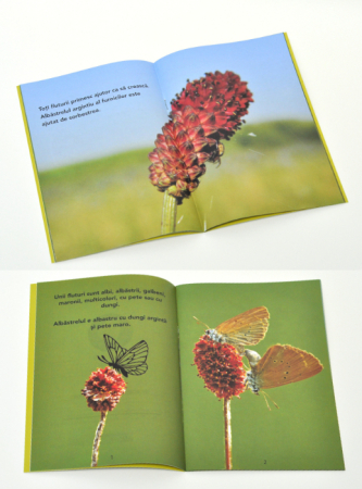 Set cărți pentru clasa pregătitoare II [3]