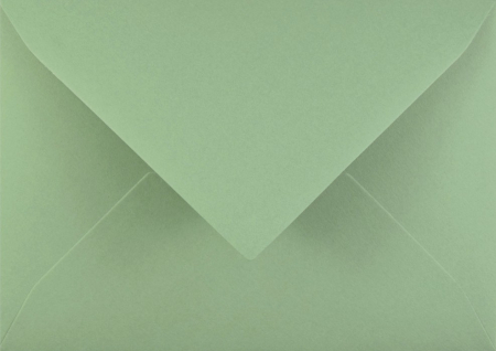 Plicuri B6 - Plic Matcha B6