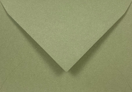 Plicuri B6 - Plic Verdigris B6