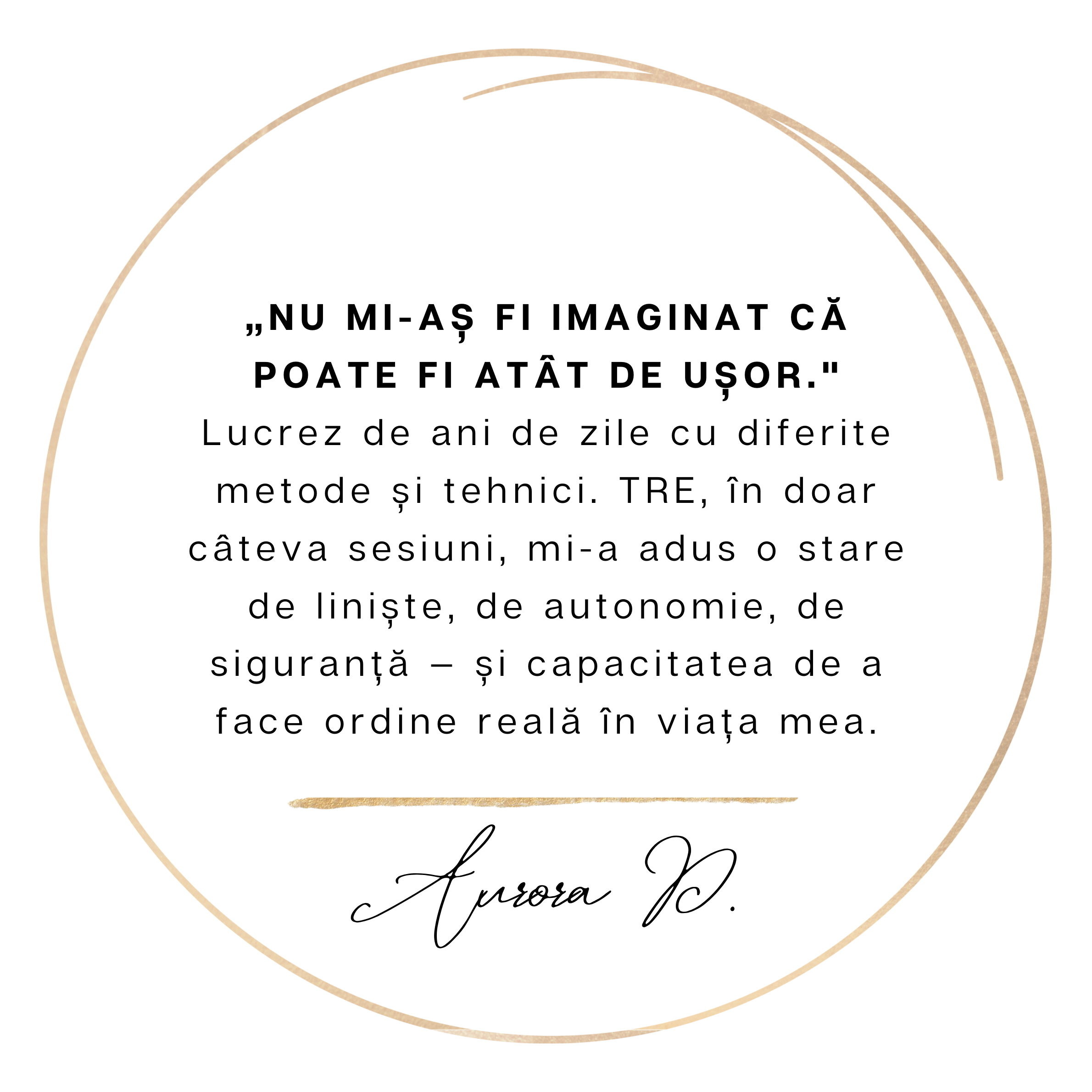 Galerie imagini