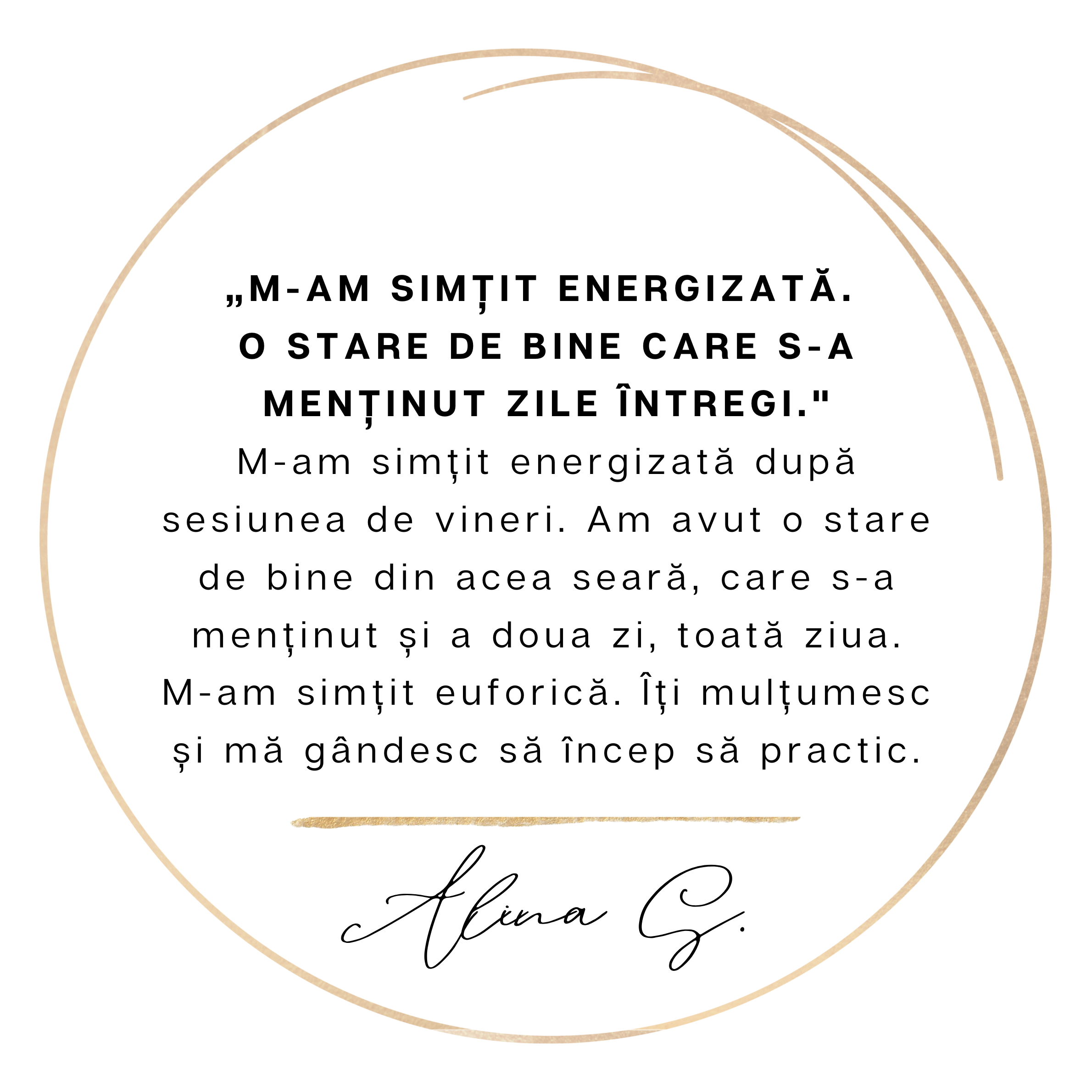 Galerie imagini