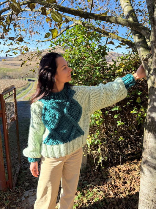 Pulover Rădăcini [4]