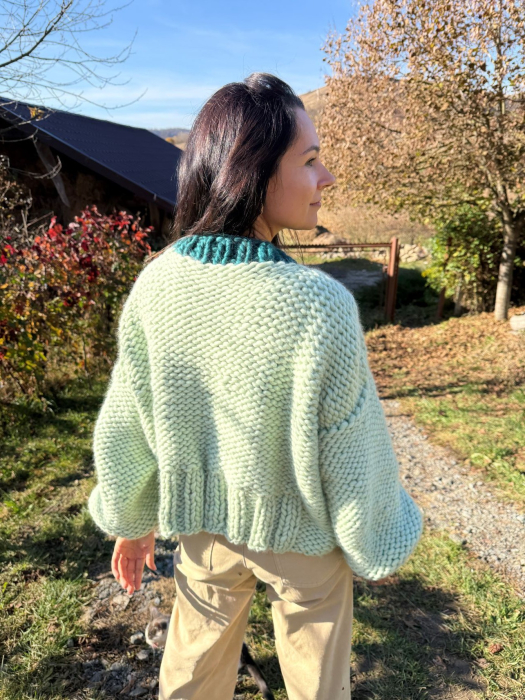 Pulover Rădăcini [3]