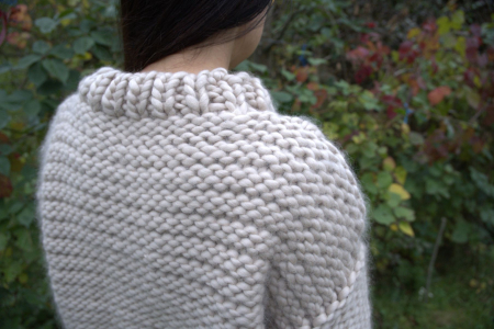 Pulover Ninsoare [3]