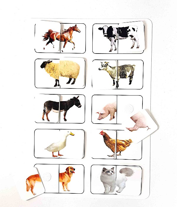 Planșă - Animale domestice [2]