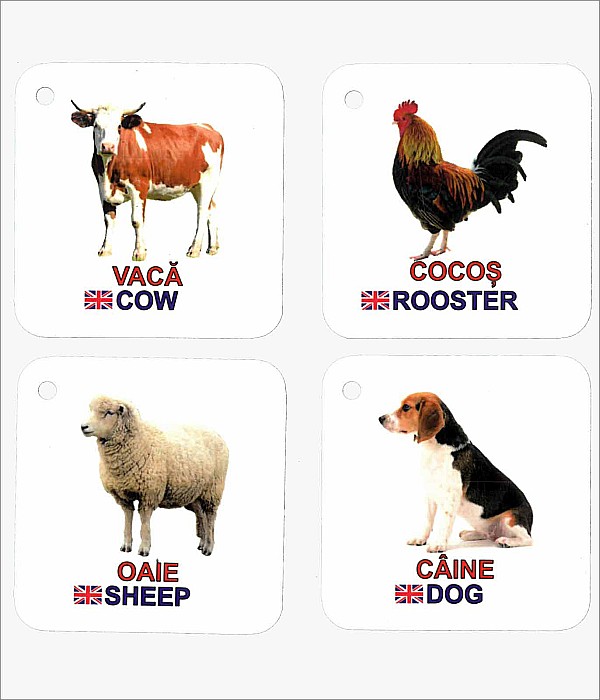 Cartonașe pe inel - Animale domestice [2]