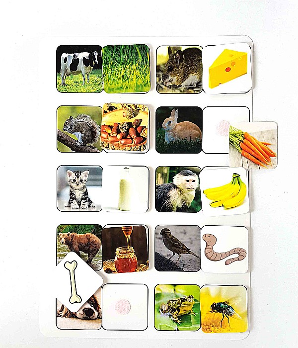 Planșă - Ce mănâncă animalele [2]