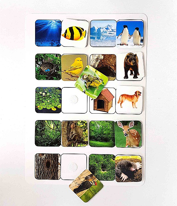 Planșă - Unde locuiesc animalele [2]