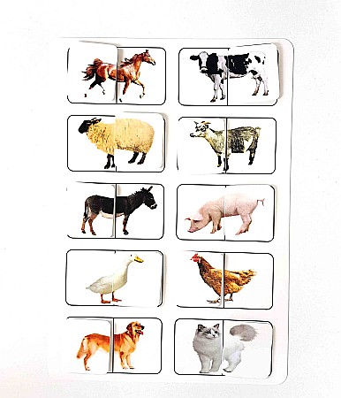 Produse educative - Planșă - Animale domestice
