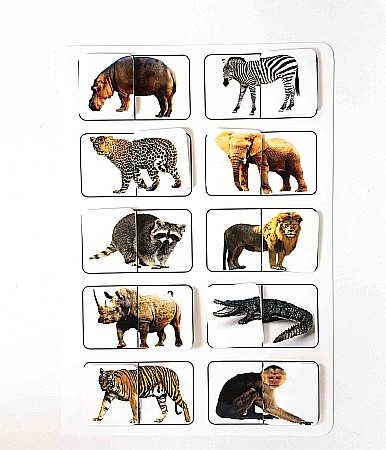 Produse educative - Planșă - Animale sălbatice din lume