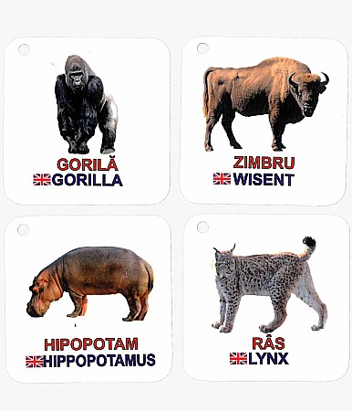 Cartonașe pe inel - Animale Sălbatice [1]