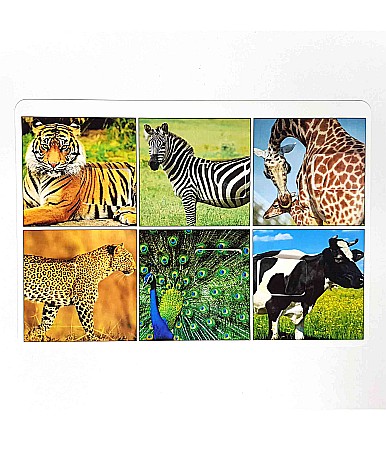 Produse educative - Planșă - Blana animalelor
