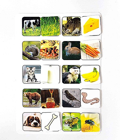 Produse educative - Planșă - Ce mănâncă animalele
