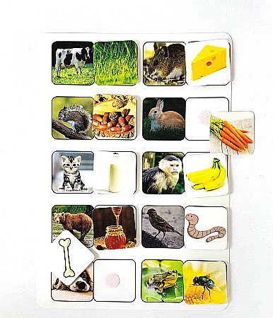 Planșă - Ce mănâncă animalele [1]