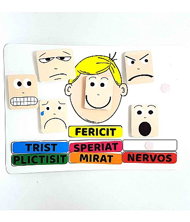 Produse educative - Planșă - Expresiile feței (băiat)