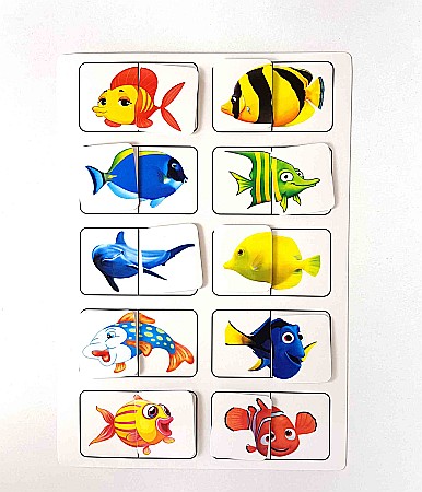 Produse educative - Planșă - Pești