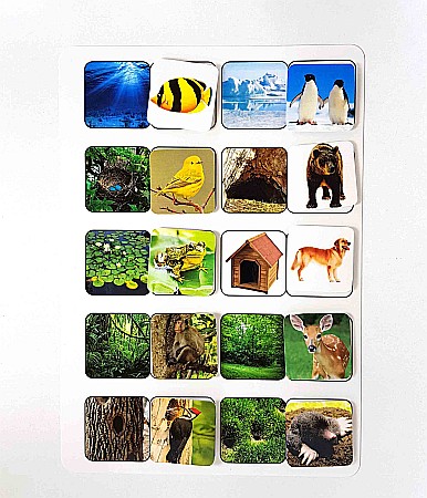 Produse educative - Planșă - Unde locuiesc animalele