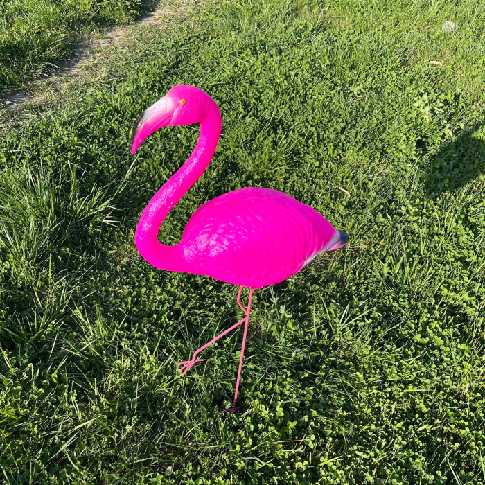 Flamingo Decorativ 70 cm Rezistent UV /Picioare de Fier [3]