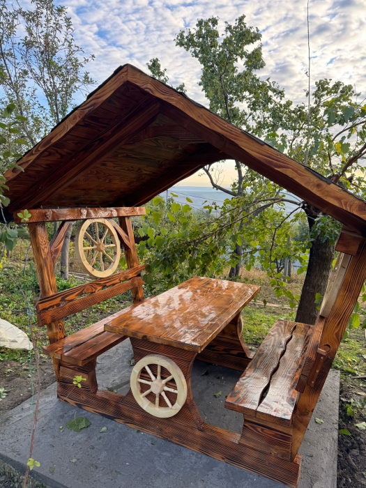 Foisor Rustic 8 Persoane Roti Ornamentale Acoperis Sindrila Bituminoasa [4]