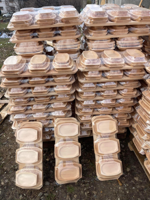 Set Servire Platou + 12 Farfurii [8]