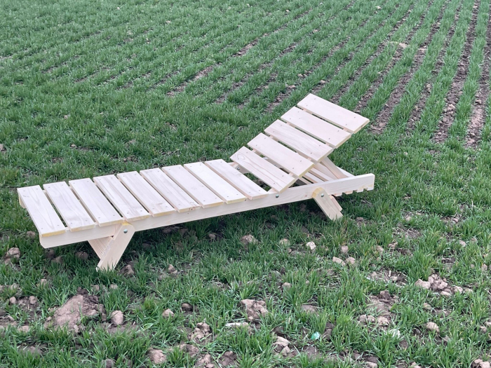 Sezlong Din Lemn Rasinoase [5]