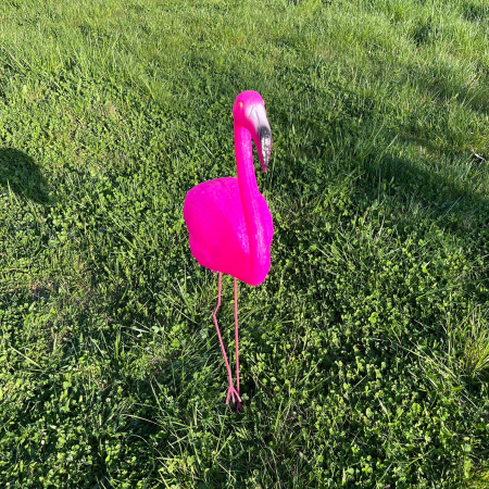 Flamingo Decorativ 70 cm Rezistent UV /Picioare de Fier [1]