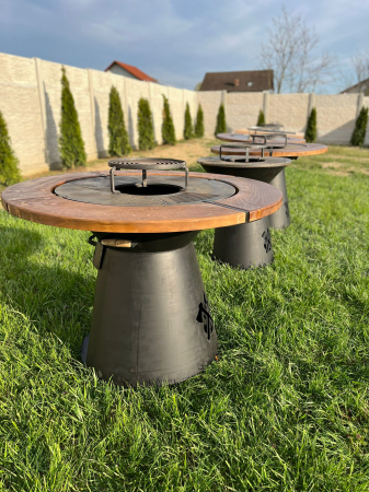 Gradina & Exterior - Grătar Profesional cu Plită  75 cm / 1 cm Grosime / Cu Accesorii Pentru Tuci Si Disc