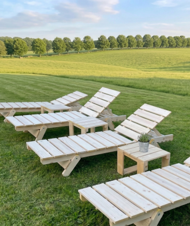 Gradina & Exterior - Sezlong Din Lemn Rasinoase